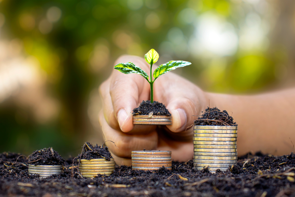 Hábitos Financeiros Transformam Vidas